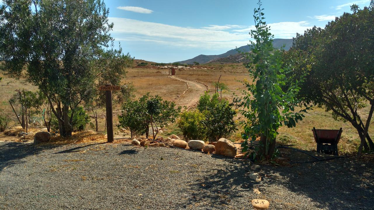 Vinofilia Wine Country Inn Valle de Guadalupe Exteriör bild